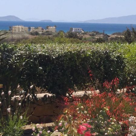 Haus Asterakia Lägenhet Aliko Beach Exteriör bild