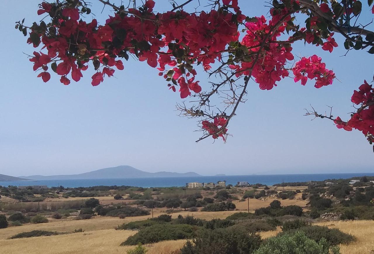 Haus Asterakia Lägenhet Aliko Beach Exteriör bild