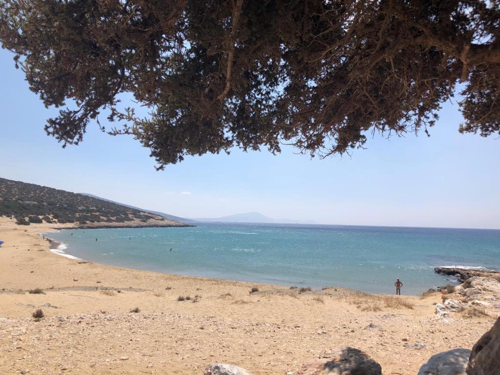 Haus Asterakia Lägenhet Aliko Beach Exteriör bild