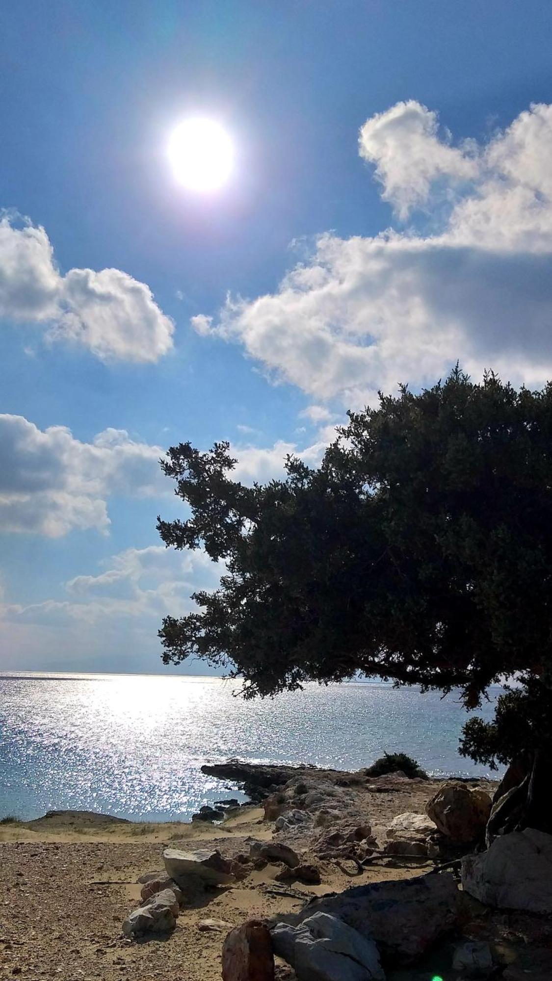 Haus Asterakia Lägenhet Aliko Beach Exteriör bild