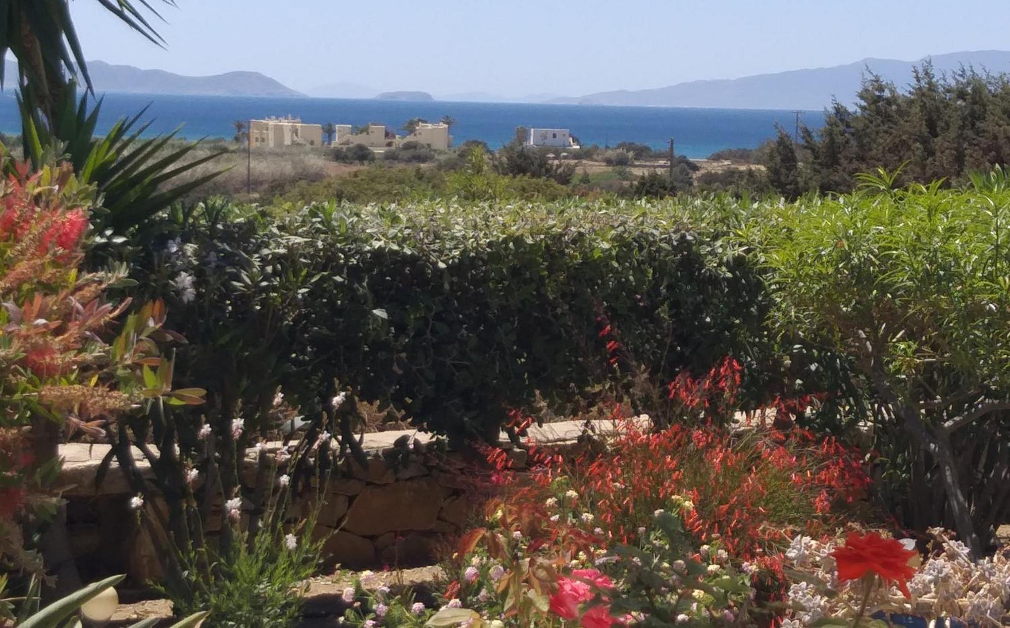 Haus Asterakia Lägenhet Aliko Beach Exteriör bild