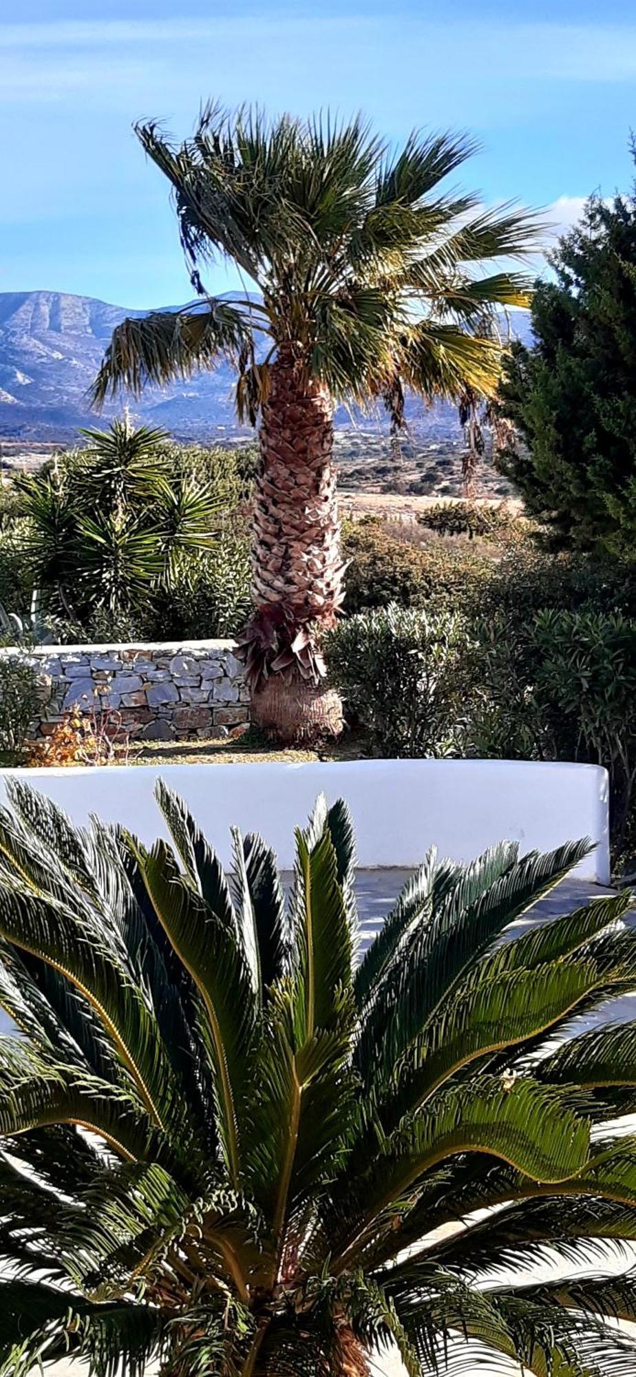 Haus Asterakia Lägenhet Aliko Beach Exteriör bild